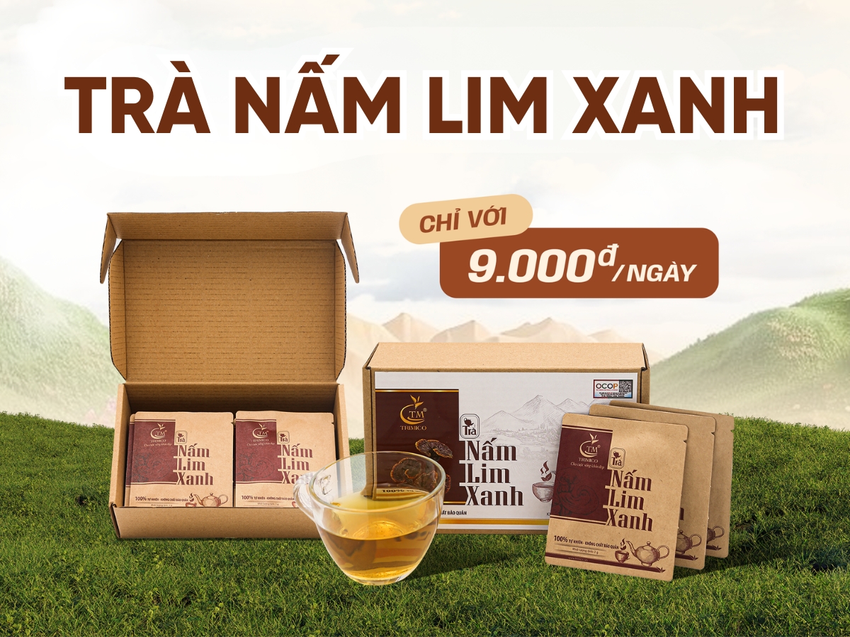 trà nấm lim xanh